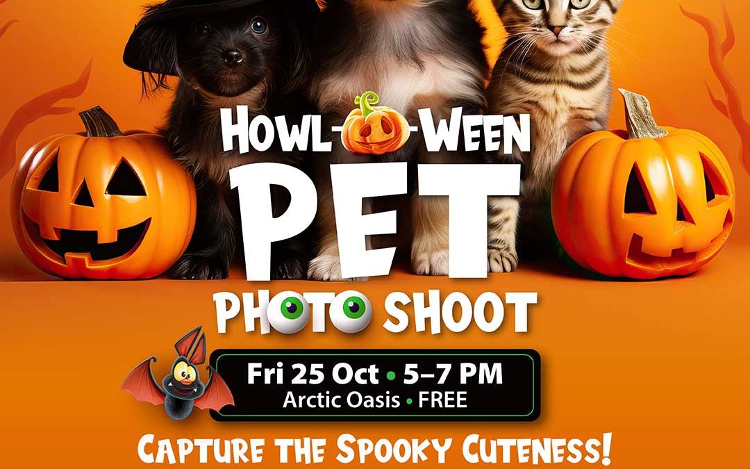 Howl-o-ween Pet Photo Shoot